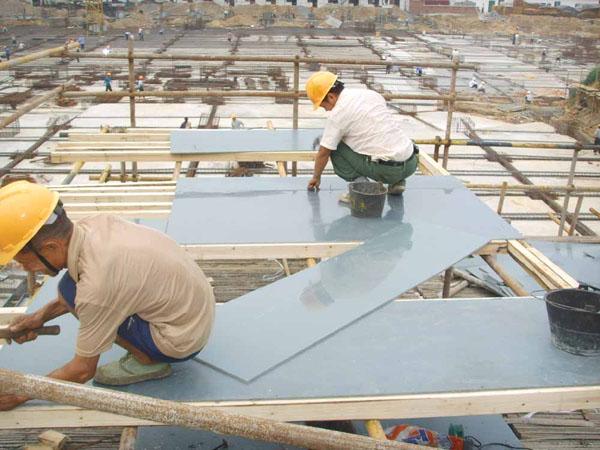 塑料建筑模板